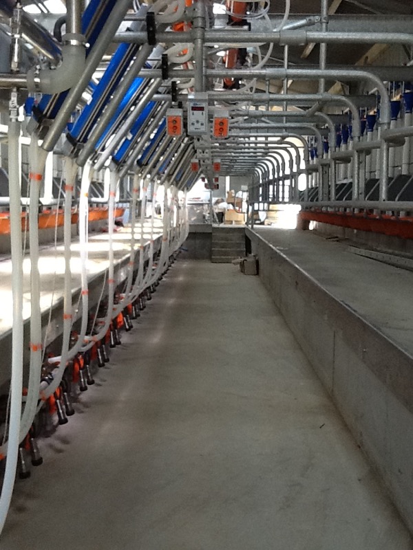 BouMatic parlour